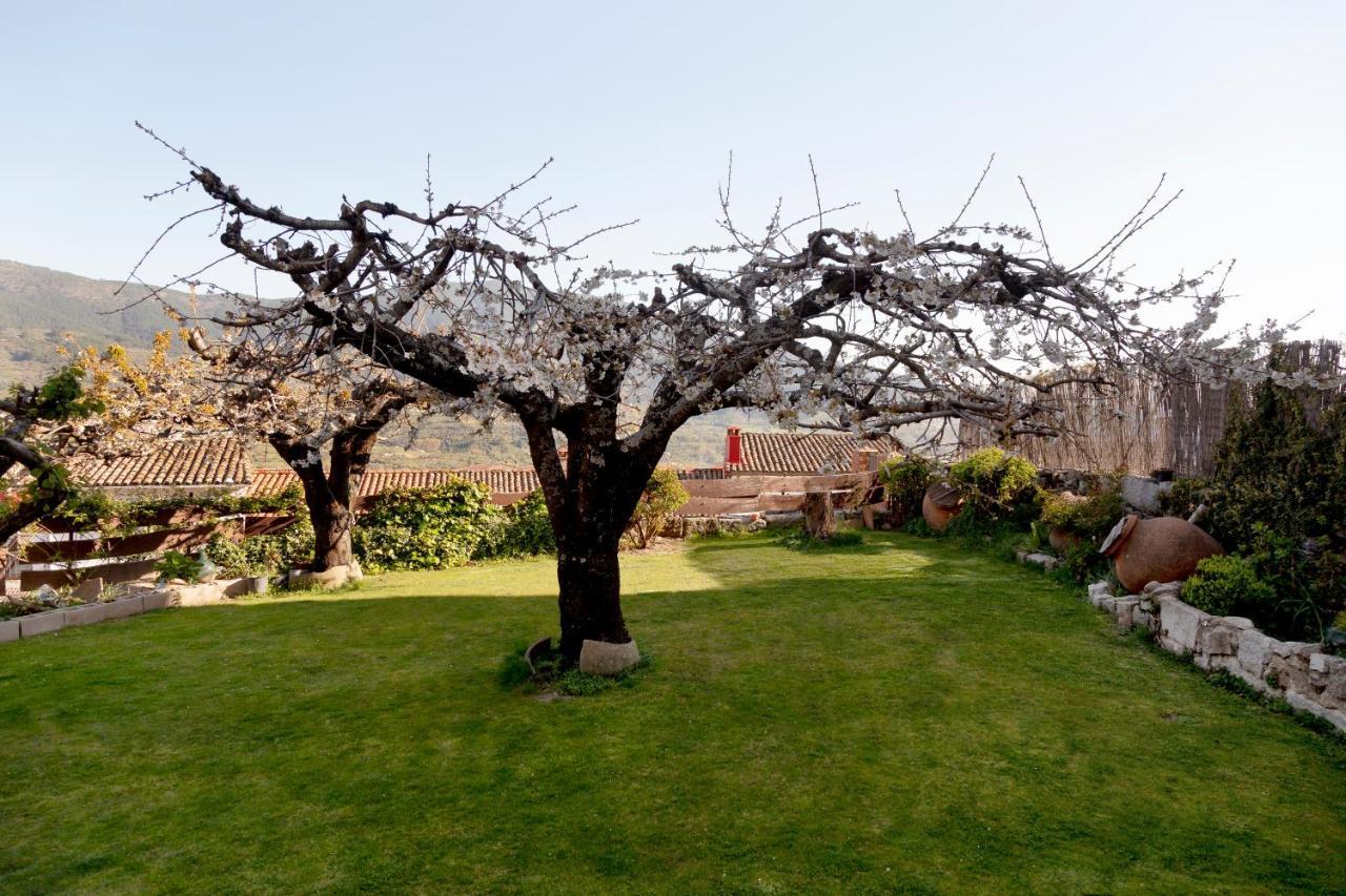 La Higuera Villa Villarejo del Valle Eksteriør bilde