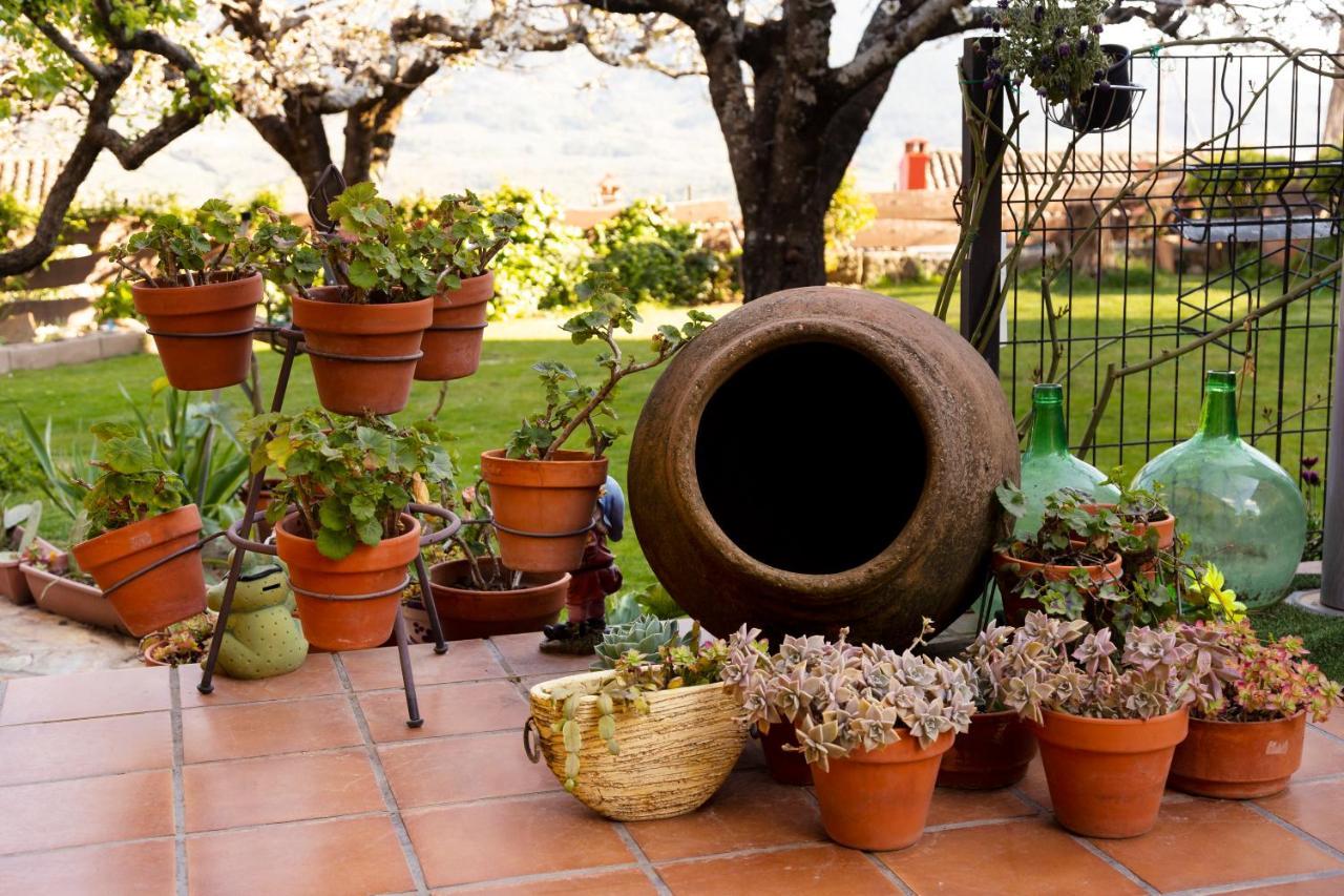 La Higuera Villa Villarejo del Valle Eksteriør bilde